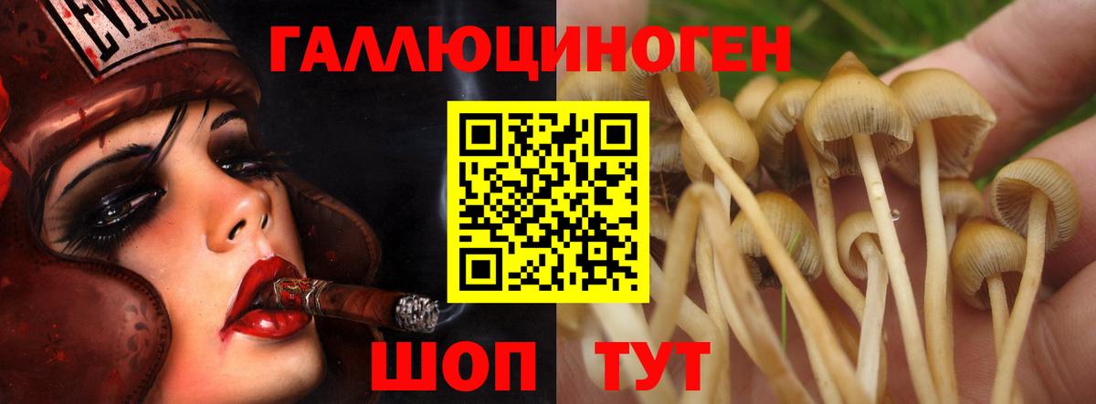 Галлюциногенные грибы MAGIC MUSHROOMS Тихорецк